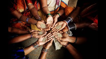 Capacity sharing projects to support the global system for PGRFA