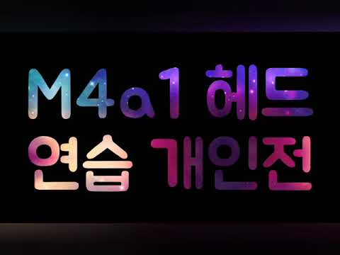 서든어택 헤드연습.