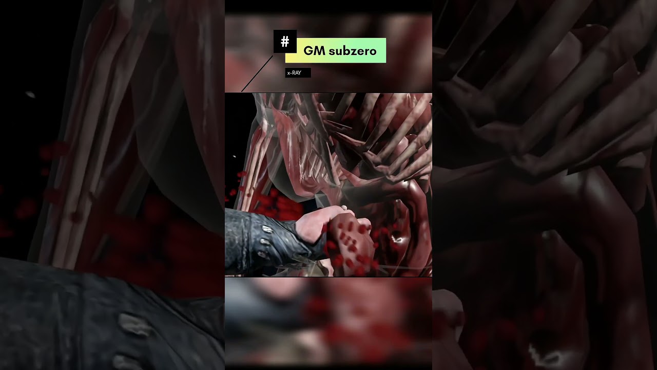 MORTAL KOMBAT x MOBILE || GM SUBZERO X-RAY ||