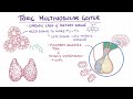 Toxic multinodular goiter - causes, symptoms, diagnosis, treatment, pathology