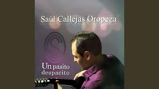 Video thumbnail of "Saul Callejas Oropeza - Un Pasito Despacito"