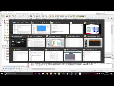Implementing Spring Remoting