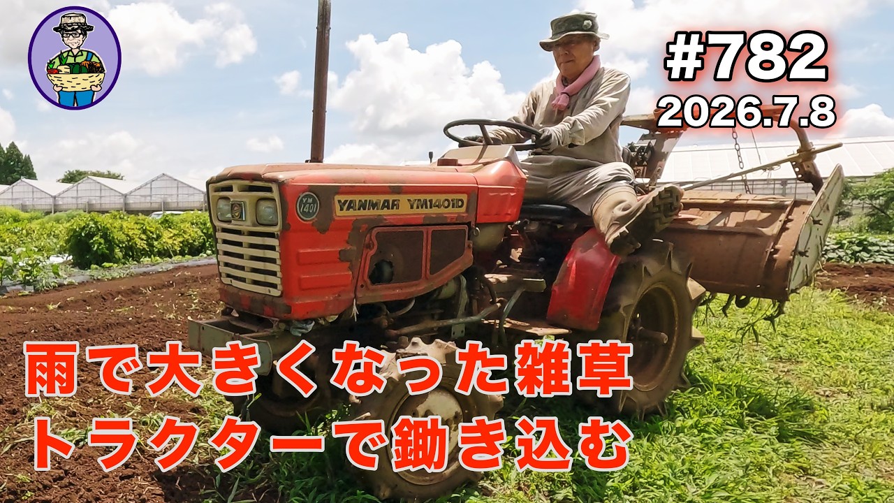 農業中毒 Weeds, Pumpkins, and Corn] Episode 782: Tilling over vigorous
