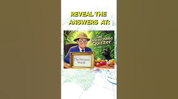 Take On The Quiz - It