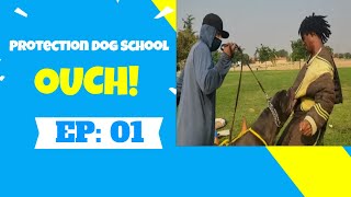 Learn to Be A Protection Dog Decoy Episode #1 - English Subtitles