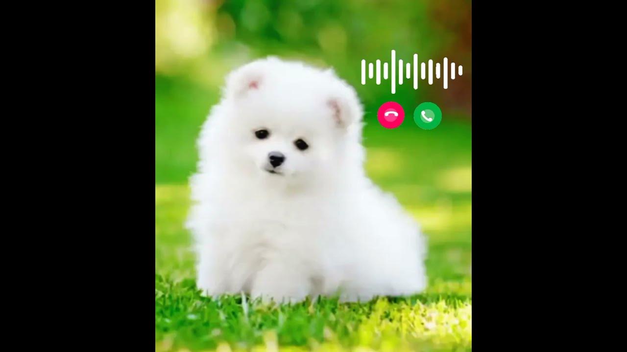 😉Cute baby message Ringtone Message Tone Cute sms Ringtone Love