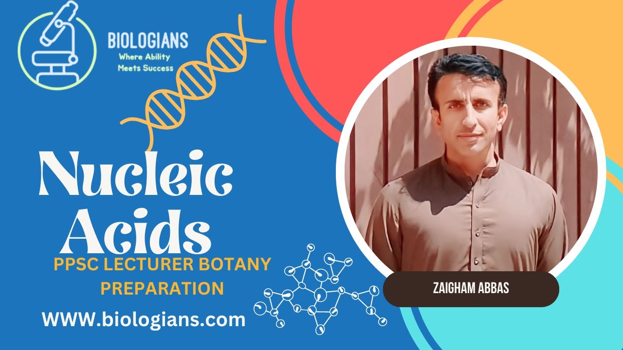 Understanding DNA and RNA: The Building Blocks of Life | Nucleic Acids ...