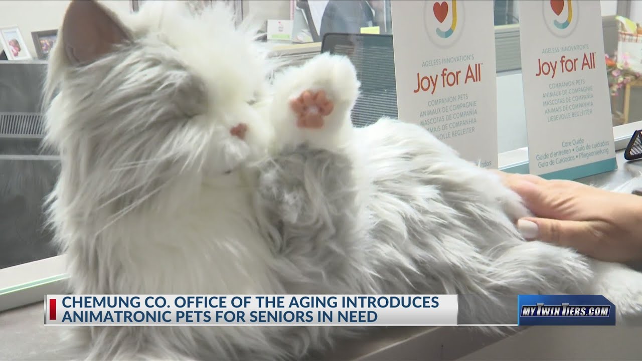 Chemung County Office of Aging helping seniors combat loneliness - YouTube