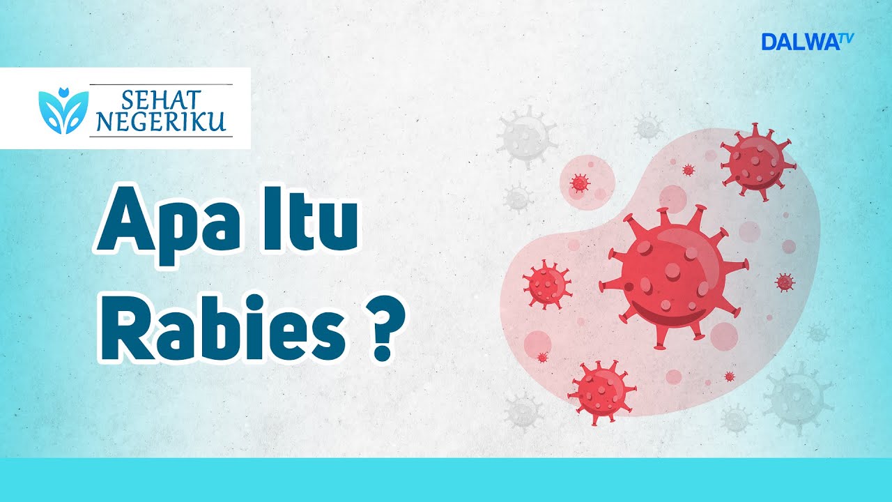 apa-itu-rabies-youtube