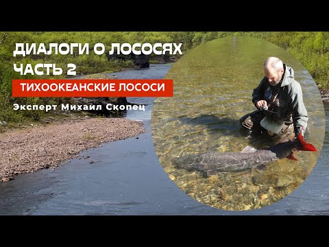 Диалоги о лососях. Часть 2