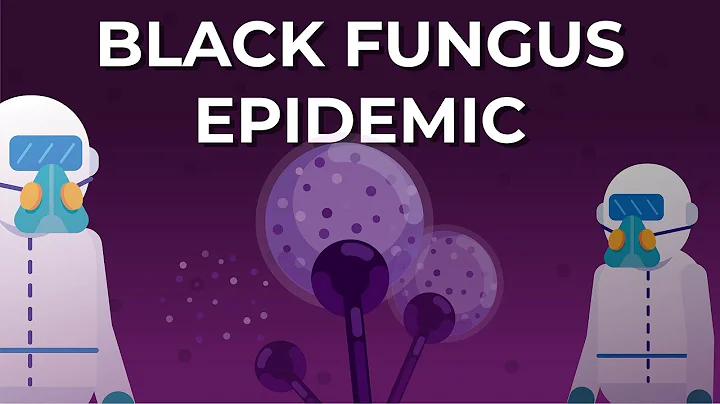 What is Black Fungus or Mucormycosis? - DayDayNews