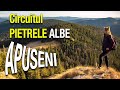 Munții Apuseni - Circuitul Pietrele Albe - Drumeție pe muchia Pietrelor Albe