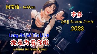 李嘉 - 拢是为着你啦 - Long Shi Wi Tio Li La - (DjMj Electro Remix 2023 闽南语) - Hokkien - Semua Karena kamu