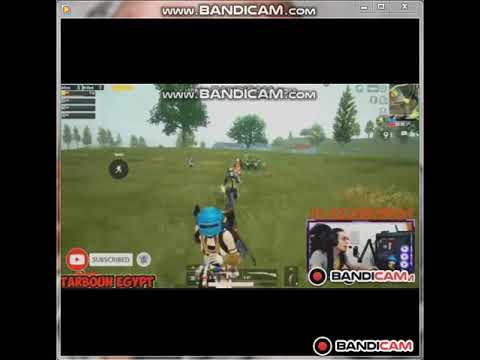 تيم كامل كانو هيفنشو تربون بلطاوة رد فعل تربون موتني من الضحك  