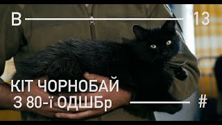 Кіт Чорнобай з 80-ї ОДШБр