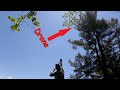 How To Get A Drone Out Of A Tree