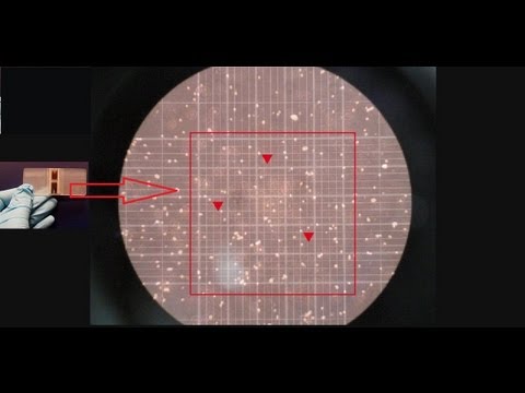 Video: AP-2δ Mõju Prestini Geeni Transkriptsioonile HEI-OC1 Rakkudes Oksüdatiivse Stressi Korral