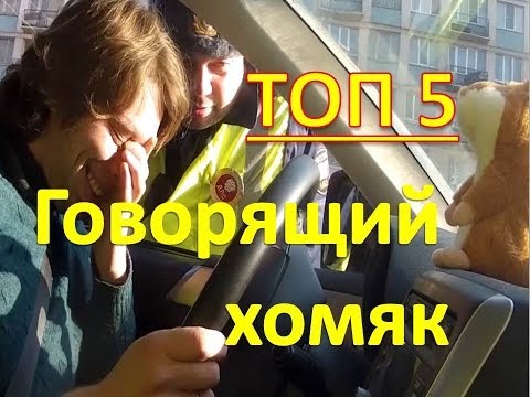 ТОП 5.  Говорящий хомяк.  Видео приколы 2013-2014