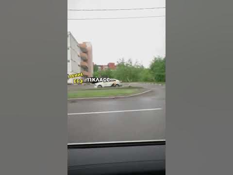 Беги, Форест! 👟#МилыеЖивотные #Смешно #Юмор #ЭРД - YouTube