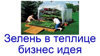 бизнес на зелени с чего начать