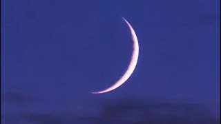 Trumpets shofar 5786