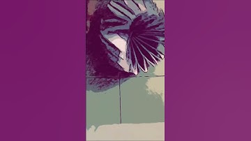 Please subscribe this took us 30 papers