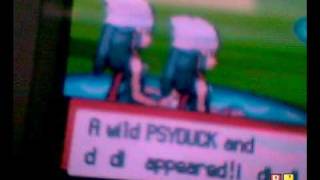 Glitch In Pokemon Diamond Invisible Shiny Pokemon, And A Wall