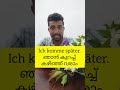 Daily use German sentences 🇩🇪✨ഇന്ന് തന്നെ പഠിച്ച് സംസാരിക്കാൻ തുടങ്ങാം!#germanlanguage #learngerman