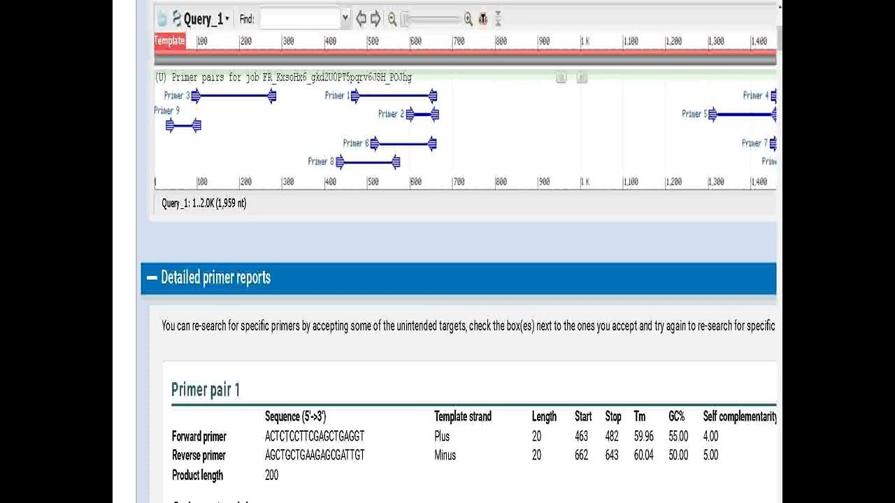 PRIMER DESIGNING FOR RTPCR II NCBI PRIMER DESIGNING TOOL YouTube