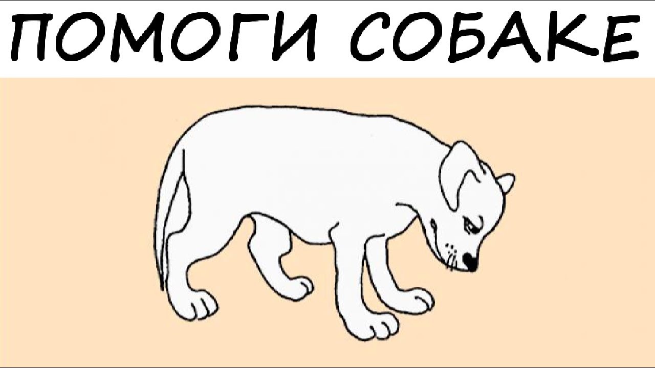 Тест! Способен ли ТЫ ЛЮБИТЬ? - YouTube