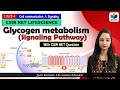 Glycogen metabolism signaling  gpcr pathway  cell signaling  csir net 2024
