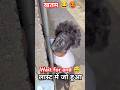बाप रे गर्मी 😂 खतम #funny #comedy #realfoolsteam #surajroxfunnyvibeo #garmi #par