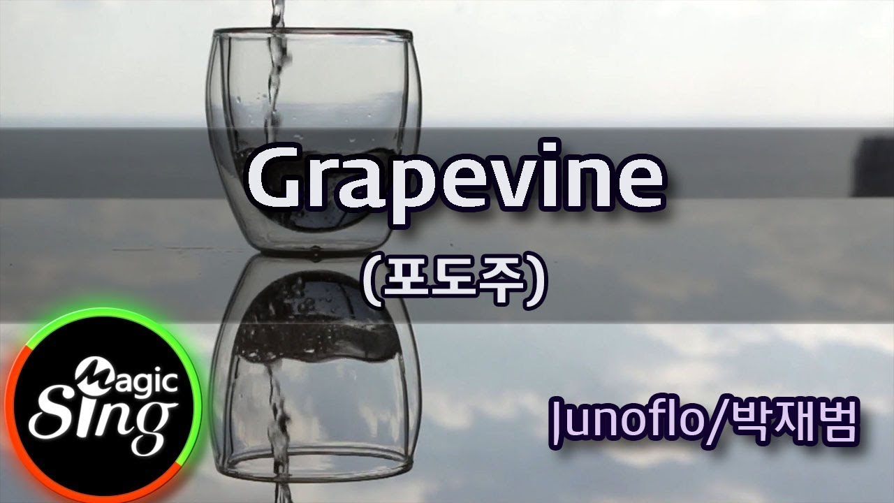 [매직씽아싸노래방] Junoflo(주노플로)_Grapevine 포도주(Feat.박재범 Jay Park)노래방(karaoke