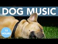 DOG MUSIC: 12 Hours of Relaxing Music for Anxious Dogs!