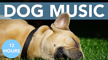 DOG MUSIC: 12 Hours of Relaxing Music for Anxious Dogs!