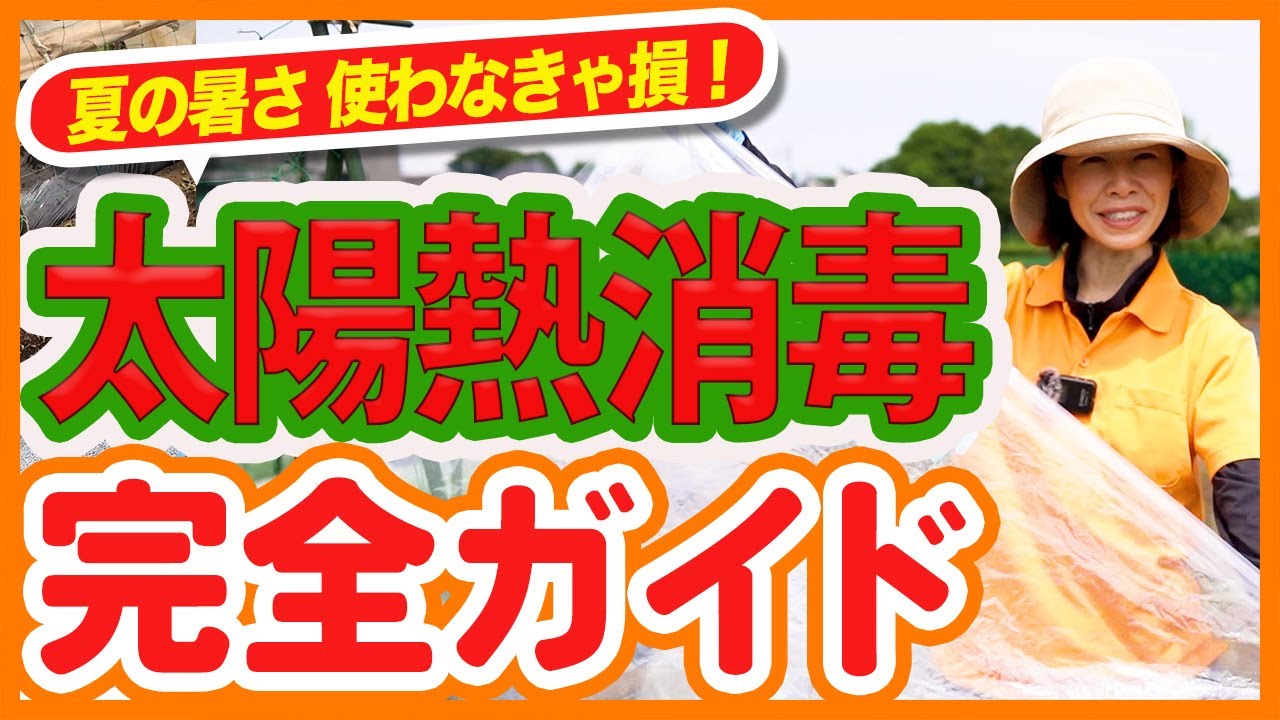 【家庭菜園でも簡単！】太陽熱消毒のやり方を完全解説｜雑草・害虫・病原菌を一掃する土づくりの基本！【農園ライフ】