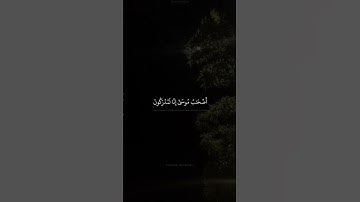 قَالَ كَلَّآ ۖ إِنَّ مَعِىَ رَبِّى سَيَهْدِينِ    القارئ الشيخ مُحَمد صدّيق المنشاوي   سورة الشعراء