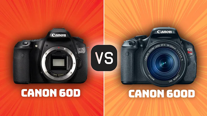 Canon 60D vs Canon 600D: Which Camera Is Better? (With Ratings & Sample Footage)