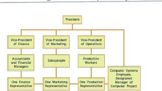 Business Education - Organization Structure Part 2
