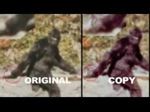 Thumb of The Patterson-Gimlin Bigfoot Film video