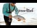Cojinua Attack | Otra vez en la Playa | Puerto Rico Fishing | VLOG 6 OS FISHING
