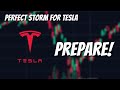 This summer will be exciting for tesla stock