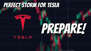 This Summer will be Exciting for Tesla Stock..