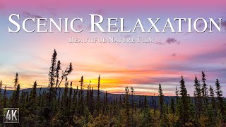 Scenic Relaxation with Calming Piano Music | 4k Nature Drone Video