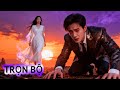 Ép Vợ Ung Thư Ly Hôn Để Cứu Tình Cũ, Ngày Cô Ấy Qua Đời Tổng Tài Mới Biết Sự Thật Đau Lòng