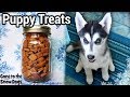 Puppy Training Treats |  DIY Dog Treats 119