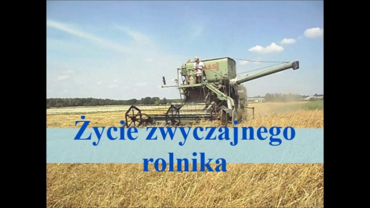 5,5 roku działalności (2011-2017)