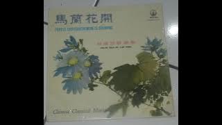 Lim Fung - Purple Chrysanthemum Is Growing
