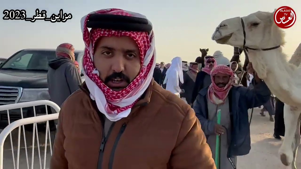 مزاين قطر جزيلات العطا دخول المفاريد مجاهيم