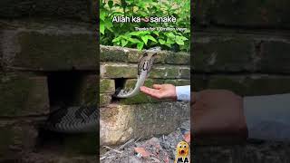 Heart Teaching Naat Allah Humma Sallay Ala Sayedna Muhammadin | Qtv #naat #allah #allahallah #qtv